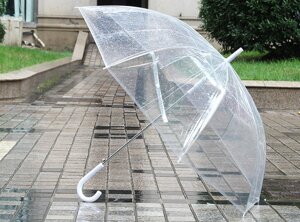 Зонт-трость прозрачный с куполом