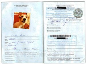 Ветеринарный паспорт с оформлением