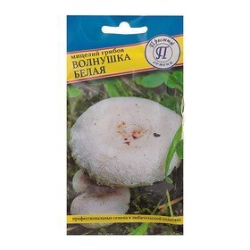 Мицелий грибов Волнушка белая, 60 мл (комплект из 5 шт.)